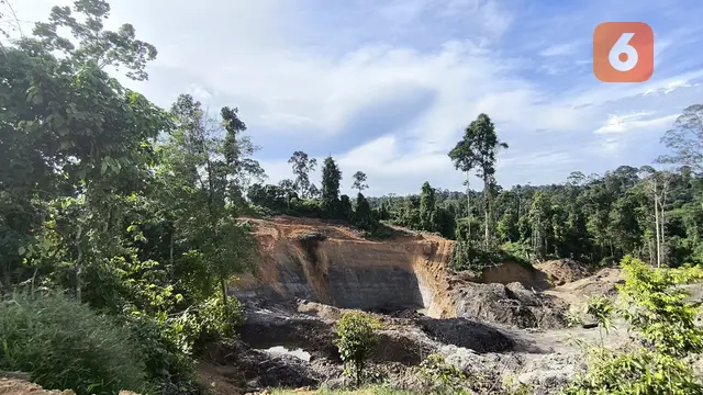 Lagi, Tiga Alat Berat Disita dari Tambang Ilegal di Berau